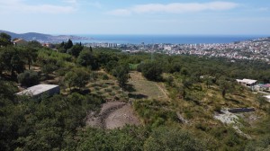 thumb_3388630_dji_0897.jpg