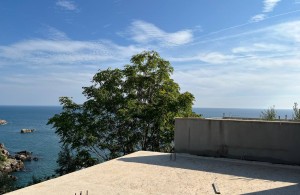 thumb_3390626_photo_2024-09-26_17-55-01.jpg