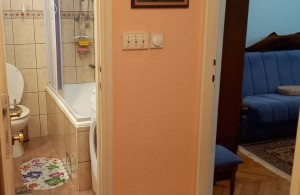 thumb_3391721_7.jpg