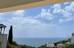 thumb_3392406_img_7288.jpeg