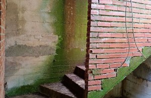 thumb_3392930_9a93d971-4056-4f33-a73f-8d2acb1ea4a5.jpeg