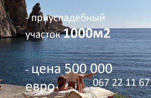thumb_3393355_-------.jpg