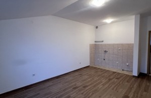 thumb_3394099_img_2950r.jpeg