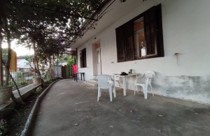 thumb_3394119_img_2857.jpeg