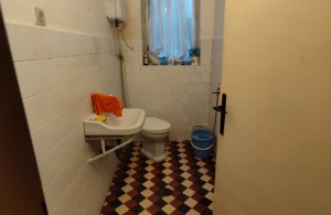 thumb_3394119_img_2867.jpeg