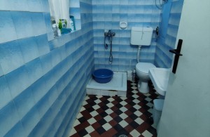 thumb_3394119_img_2868.jpeg