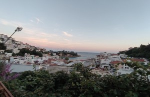 thumb_3394119_img_2872.jpeg
