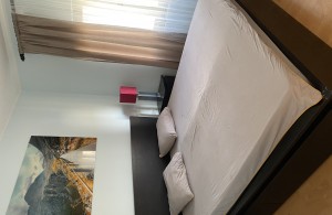 thumb_3395130_img_0767.jpeg