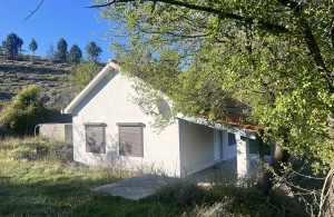 thumb_3395130_img_9195.jpeg