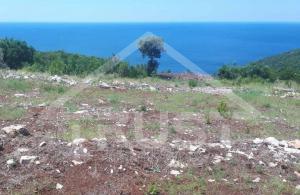 thumb_3396021_sablon-prodaja_20241002_211046_0001.jpg