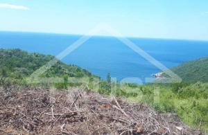thumb_3396021_sablon-prodaja_20241002_211046_0002.jpg