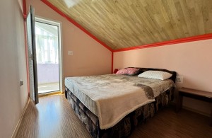 thumb_3396094_3.jpg