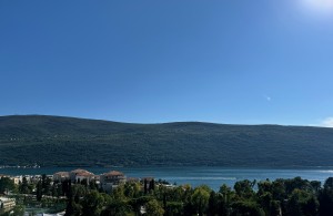 thumb_3396114_7.jpg