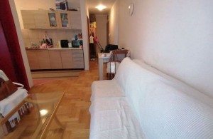 thumb_3396172_2.jpeg