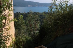 thumb_3396925_img-20240927-wa0065.jpg