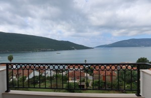 thumb_3397879_img_1206.jpeg