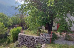 thumb_3398731_viber_slika_2024-10-06_17-06-05-041.jpg