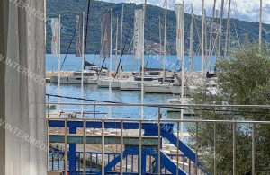 thumb_3399958_9.jpg