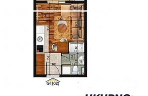 thumb_3400798_skiica.jpg