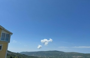 thumb_3400872_3.jpg