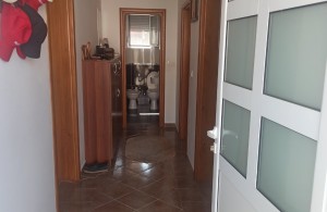 thumb_3401923_1ad86c5d-6cd7-4a15-bd6f-5e9cb58fa475.jpeg