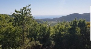 thumb_3402073_img_1098.jpeg