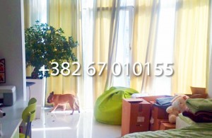 thumb_3402291_017.jpg