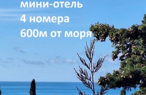 thumb_3402302_462537725_8930525720311465_7137697600183802529_n.jpg
