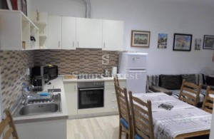 thumb_3405893_7.jpg