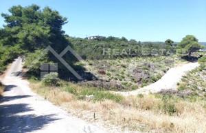 thumb_3407481_ding_plot_in_a_peaceful_location_near_the_sea_for_sale_2.jpg