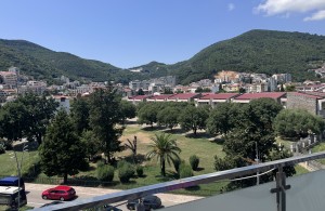thumb_3407493_img_0421.jpg