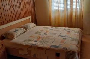 thumb_3407745_img_9800.jpg