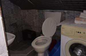 thumb_3407745_img_9804.jpg