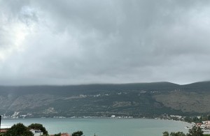 thumb_3408314_8.jpg