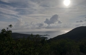 thumb_3408450_img_20241011_160339.jpg
