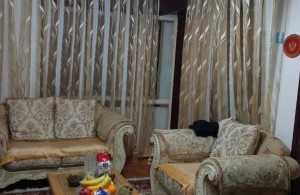 thumb_3408871_viber_image_2024-10-19_19-25-32-570.jpg