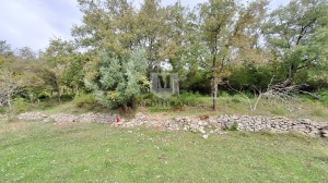 thumb_3410839_4.jpg