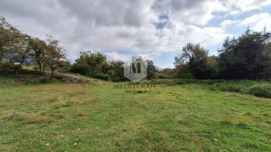 thumb_3410839_5.jpg