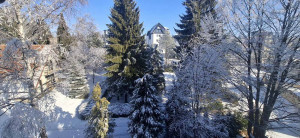 thumb_3410884_3.jpg