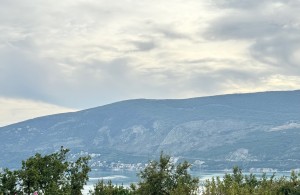 thumb_3413720_9.jpg
