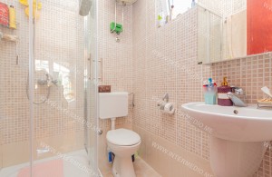 thumb_3413788_img_0416.jpg