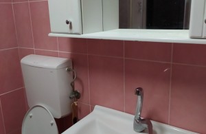thumb_3414075_img_2252.jpeg