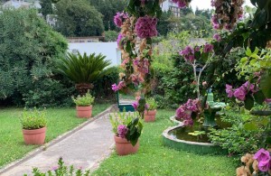 thumb_3414327_11201-s006.5.jpg