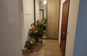 thumb_3416285_1730287559564.jpg