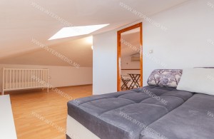 thumb_3417647_6.jpg