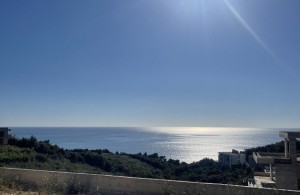 thumb_3417768_img_7536r.jpeg