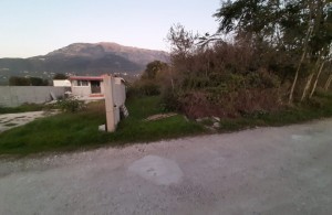 thumb_3418598_img-20241102-wa0015.jpg