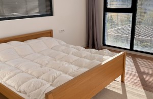 thumb_3418642_img_1200.jpg