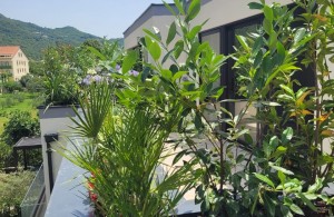 thumb_3419214_0.jpg