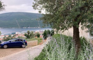 thumb_3419616_happymontenegro-lowprice-lux18.jpg